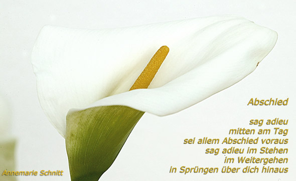 Abschied.jpg