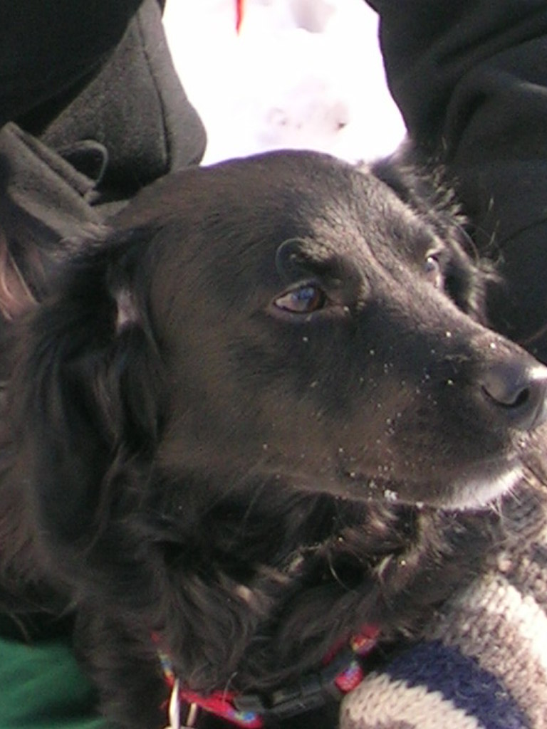 RSCN0396.JPG