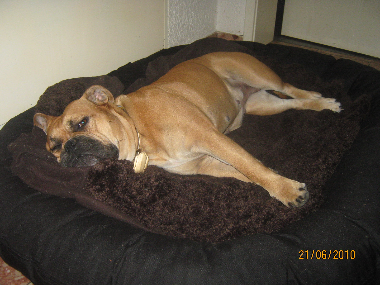 carla 002.jpg