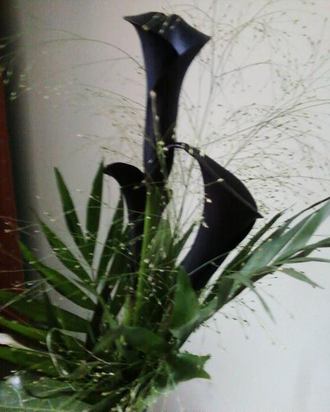 Flower.JPG