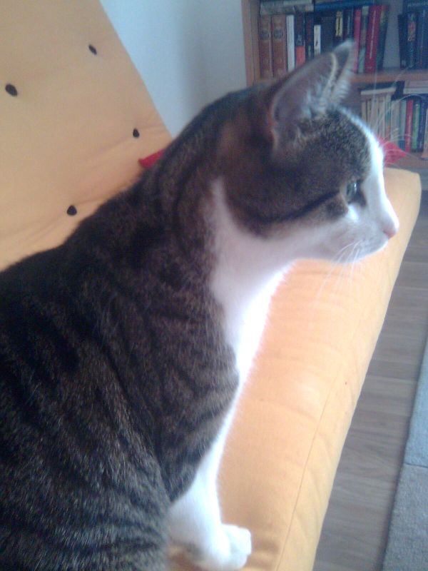 Bild0120.jpg