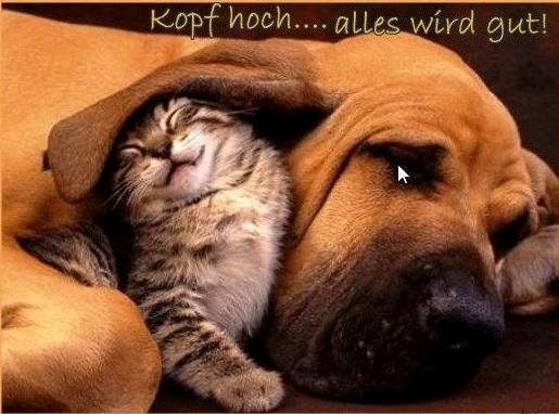 süss.PNG
