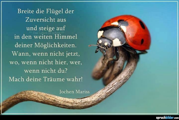 breite-die-fluegel-der-zuversicht-aus.jpg